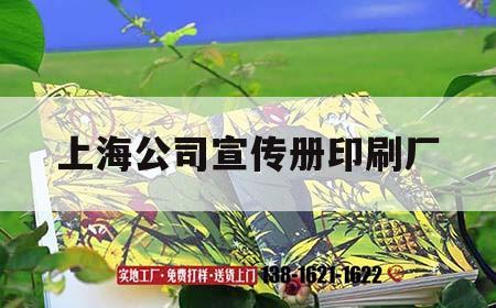 上海公司宣傳冊(cè)印刷廠｜上海印刷廣告公司